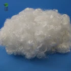 7dx32mm Recycled hollow conjugated siliconized 100 polyester fiber white color