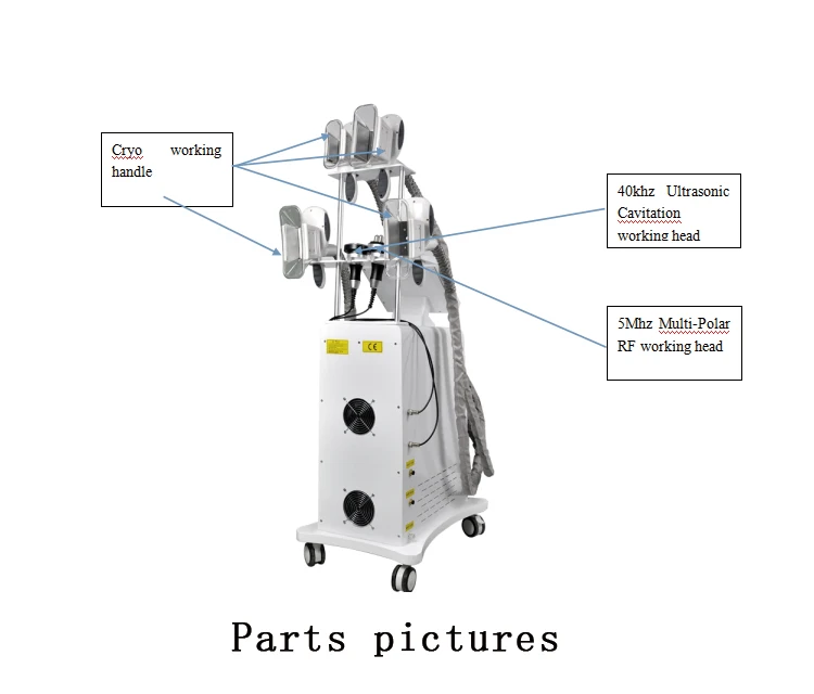 cryolipolysis machine hot sell in europe.jpg