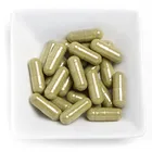 Organic 30% 10% PolysaccharidesChaga Capsules Mushroom Extract No Fillers Vegetarian Reishi Cordyceps 500mg