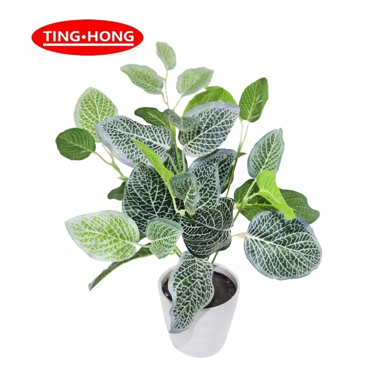 Green indoor plants artificial fittonia verscha ffeltii leaves bush for wedding plant wall decor, Green color
Green indoor plants artificial fittonia verscha ffeltii leaves bush for wedding plant wall decor, Green color