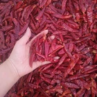 Red Pepper Chaotian Chilli YiDu Chili Jinta Chilli Red Dry Chilli
