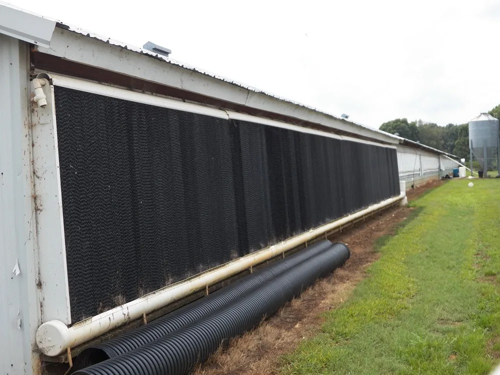 Poultry Farm House Evaporative Air Cooling Cell Pad System Buy