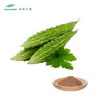 Natural Bitter Melon Juice Powder with good taste