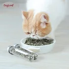 Cat Catnip Toys Fresh Catnip Organic Nature Bottle Catnip Oil 45ML
