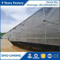 SINOLINKING Agricultural Plastic Film 200 Micron