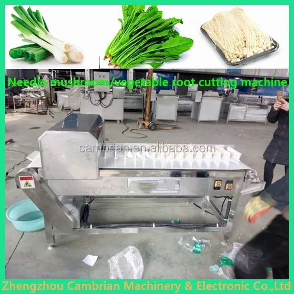 needle mushroom root cutting machine (20)