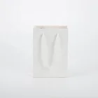 Recycled Custom White Cardboard Printed Paper Bag Gift For Clothing