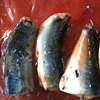 /product-detail/factory-supplier-low-price-canned-mackerel-in-tomato-sauce-60233966240.html