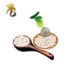 Safe and reliable White kidney beans Baishake Type for canned