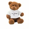 /product-detail/oem-promotional-toys-white-t-shirt-and-colorful-logo-small-teddy-bear-60555161553.html