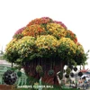 /product-detail/half-round-flower-pot-hanging-garden-ball-planter-hanging-plastic-flower-pot-60328296543.html