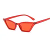 /product-detail/sinle-oem-sunglasses-dollar-sunglasses-for-women-cheap-clear-sunglasses-60766251804.html