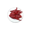 Chinese factory red dried chili for sale