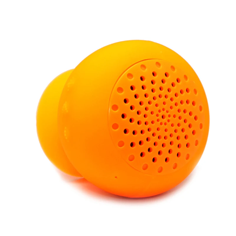 speaker (3).jpg