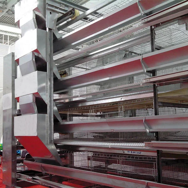 Broiler cage system1.jpg