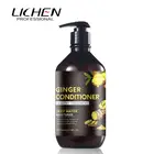 Oem Oil Shampoo OEM Natural Argan Oil Vitamin Scalp Care PH Balance Damage Repaired Anti Hair Loss Shampoo