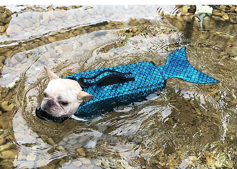 5968512724_1832331281