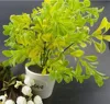 Wholesale New design and high quality artificial bonsai trees for sale