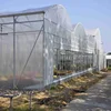 greenhouse green house ,agriculture greenhouse for sale, multi-span low cost agricultural greenhouse