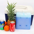 Blow molded eutectic freezer cold plate ice cooler packs for shipping food