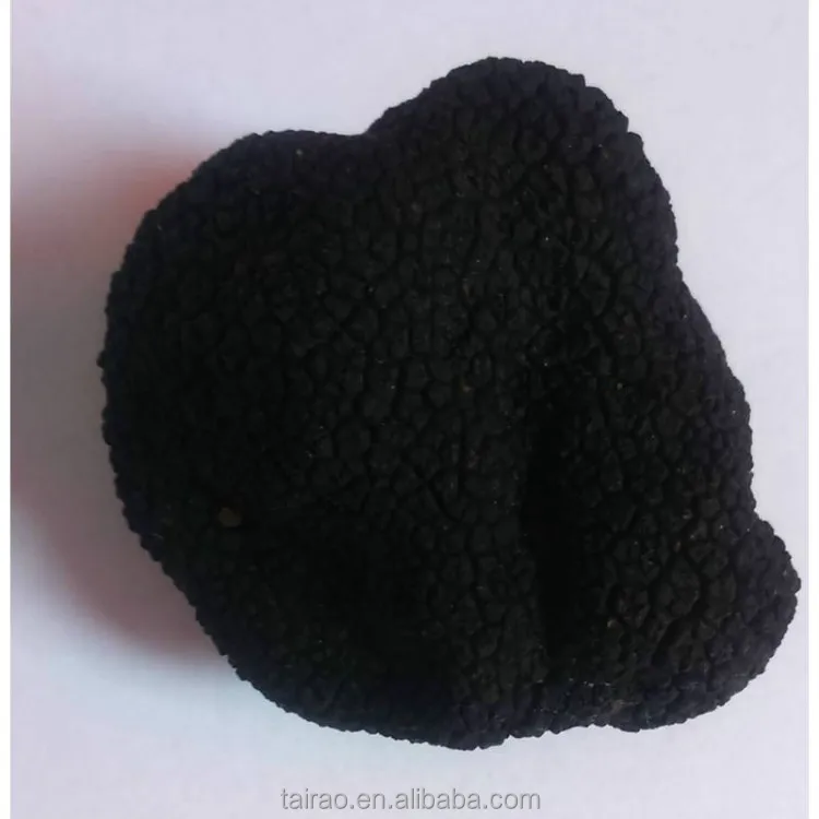 Autumn truffle iran black truffles for sale fresh desert truffles 5~7cm