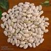 Different Type of New Crop White Kidney Bean Factory Price