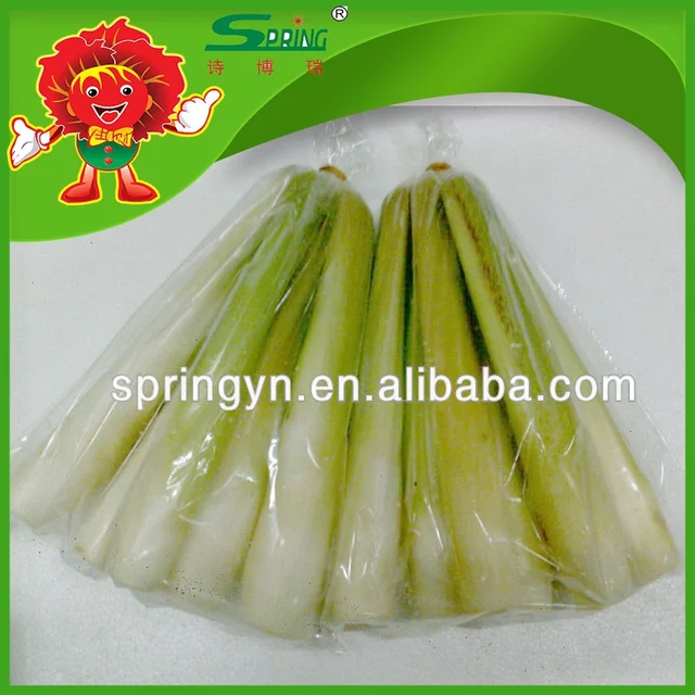 fresh bamboo shoot