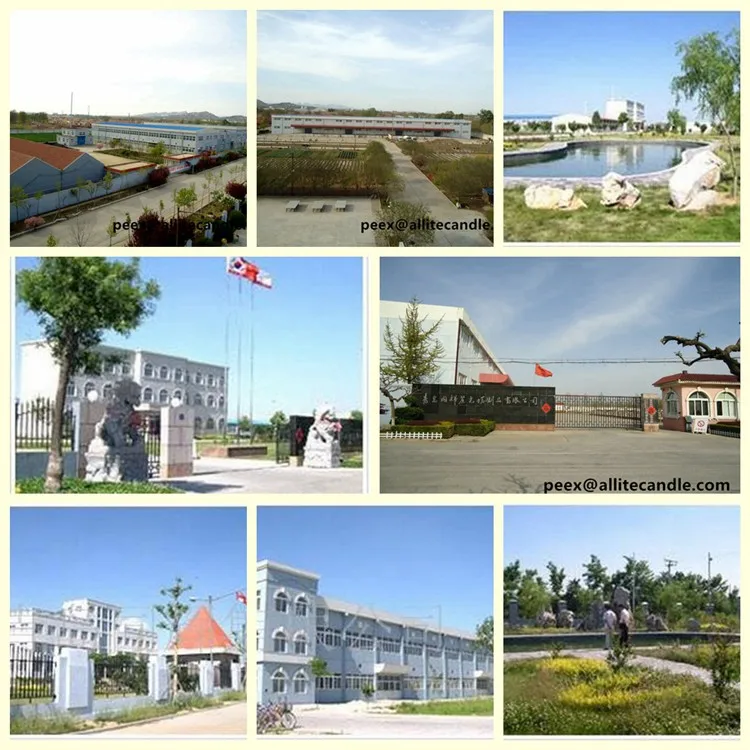 750.jpg