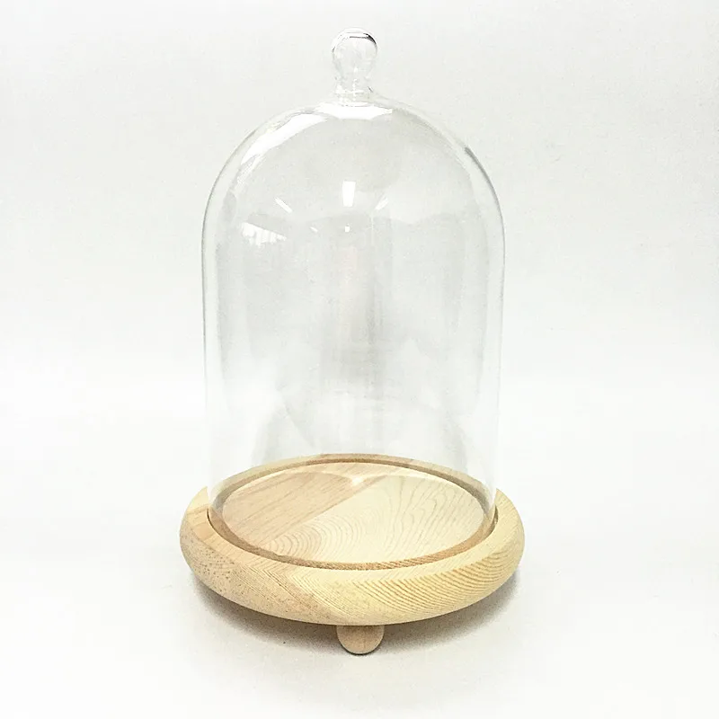 glass dome cloche with wood base
