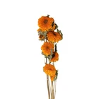 2019 new home decor natural preserved flower dried yellow Dry sunflower