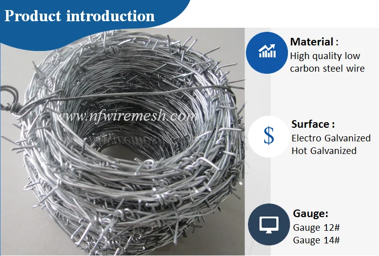 BWG14x14 or BWG16x16 electric / hot dipped barbed wire(Guangzhou Factory)
