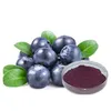 2018 new harvest organic bilberry extract bilberry extract powder bilberry fruit extract