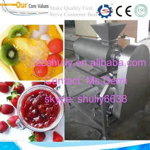 stainless steel banana pulping machine