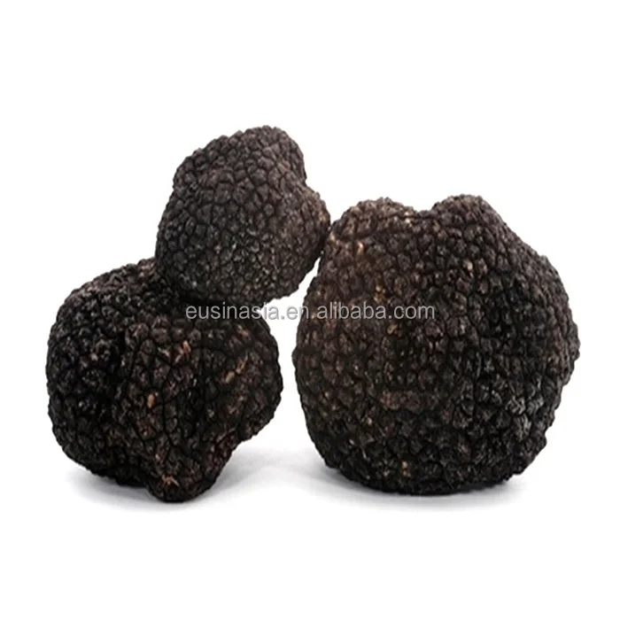 truffles mushroom price/fresh black truffle for sale