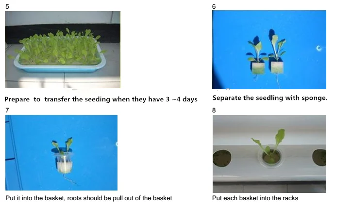 hydroponics 2_.png