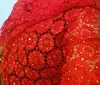 /product-detail/red-african-cord-lace-fabric-guipure-lace-with-stone-for-women-party-dress-in-guangzhou-fabric-market-60481054063.html
