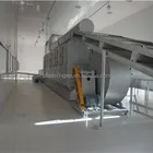 DW Series Multi-Layer Mesh Belt Dryer for Vegetables and Fruits/Nuts
