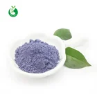 Instant milk tea flavor butterfly pea flower powder