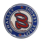 High Quality Soft Enamel with Epoxy 60 years University Badge