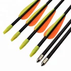 3inch TPU Vanes Glue-on Point Recurve Bow Glass Fiber Arrows
