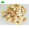 Jining greenfarm dried ginger whole