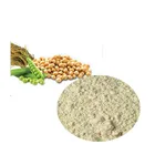 High Quality 80% Soy Isoflavone 100% Nature Soybean Germ Soybean Extract