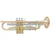 XTR057 Trumpet black trumpet for sale c trumpet for sale