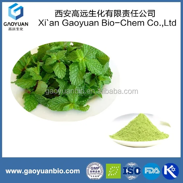 dry menthol,essementhol hot selling 100% natural pepermint leaf dry extract 99% menthol