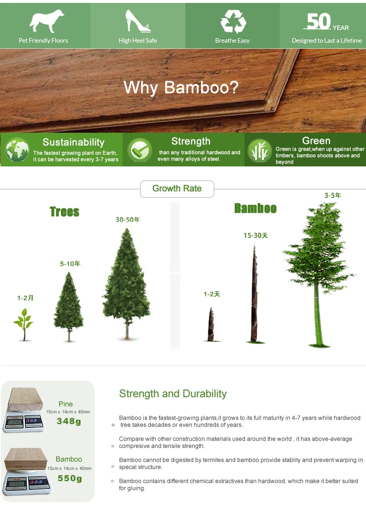 bamboo flooring-3