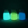 Strontium Aluminate 3 colors Photoluminescent Pigment Powder Glow Powder Phosphor Powder for both oily and water-based paint