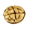 Wholesale Raw Walnuts in Shell with lowest price