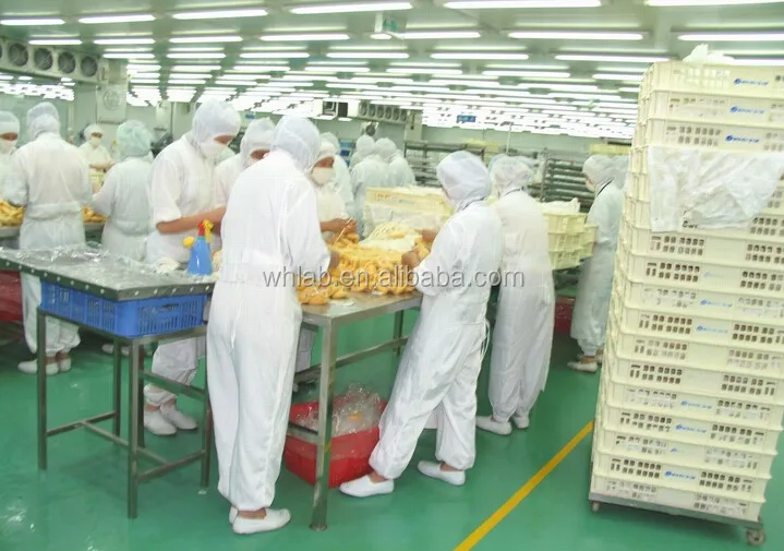 food factory cleanroom uniform.jpg