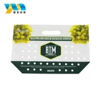 Food grade customized plastic packaging bag for grapes perforated fruit packing bag grapes packing bag