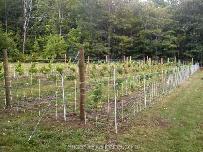 Geneva Double Curtain Trellis System Vineyard Trellis Systems